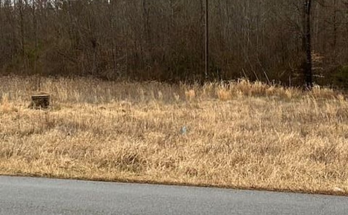 Pictures of Land property located at 000 Highway 903, Bracey, VA 23919 for sales - image #1