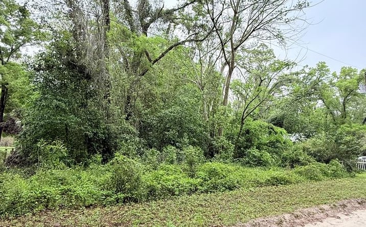 Pictures of Land property located at 8630 SW 82nd Ter, Trenton, FL 32693 for sales - image #1