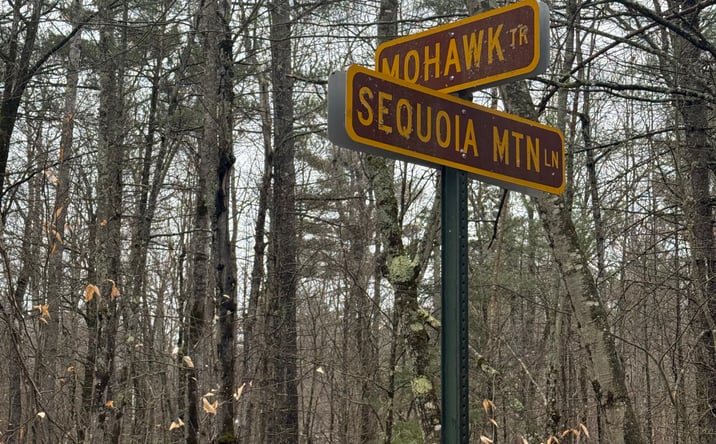 Pictures of Land property located at Sequoia Mountain Ln, Jay, NY 12941 for sales - image #1