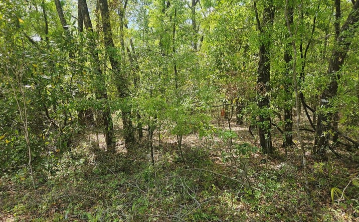 Pictures of Land property located at TBD NW 63rd Ter, Bell, FL 32619 for sales - image #1