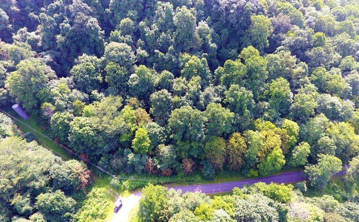 Pictures of Land property located at 0 Tyler Street, Abbs Valley, VA 24605 for sales - image #1