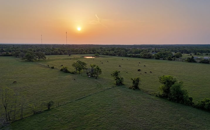 Pictures of Land property located at 930 County Road 357, Gause, TX 77857 for sales - image #1