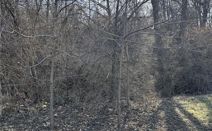 Pictures of Land, Multifamily property located at No address Avenue, Kansas City, MO 64126 for sales - image #1