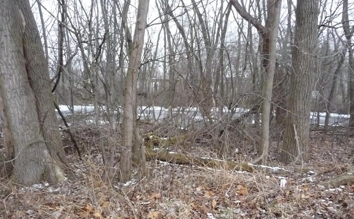 Pictures of Land property located at 5455 Connecticut Street, Merrillville, IN 46410 for sales - image #1