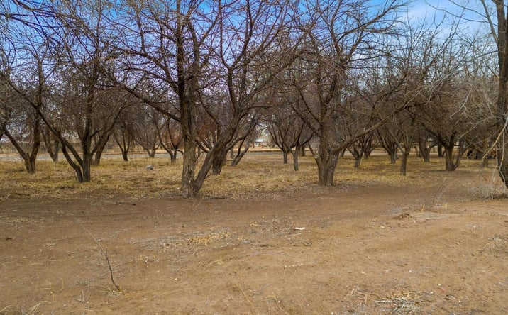 Pictures of Land property located at 60 Blue Sky, Corrales, NM 87048 for sales - image #1