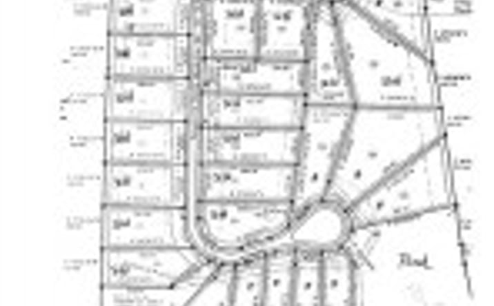 Pictures of Land property located at 000 Madelyn Drive, Burnettown, SC 29851 for sales - image #1