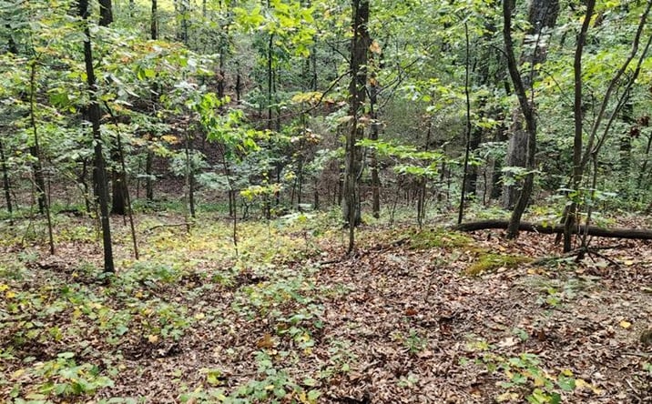 Pictures of Land property located at 000 Stirling Access Rd, Camden, TN 38320 for sales - image #1