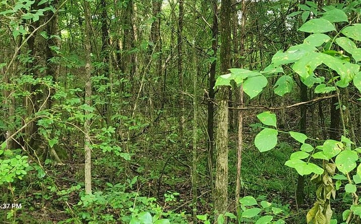 Pictures of Land property located at 000 Shady Lane, Big Sandy, TN 38221 for sales - image #1