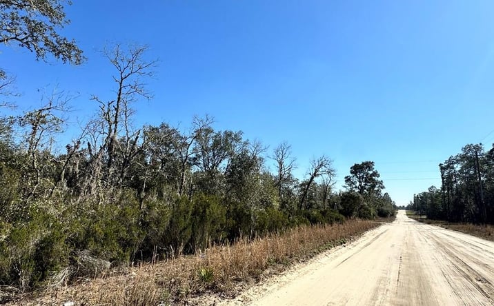 Pictures of Land property located at 000 NE 67th Ln, Williston, FL 32696 for sales - image #1