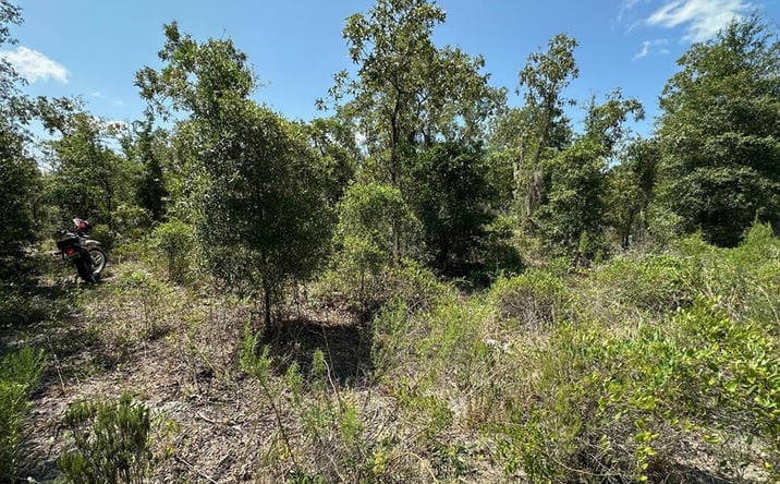 Pictures of Land property located at 0 NE 66th Ln, Williston, FL 32696 for sales - image #1