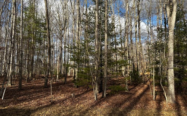 Pictures of Land property located at 229 Glen Garden Lane, Daniels, WV 25832 for sales - image #1