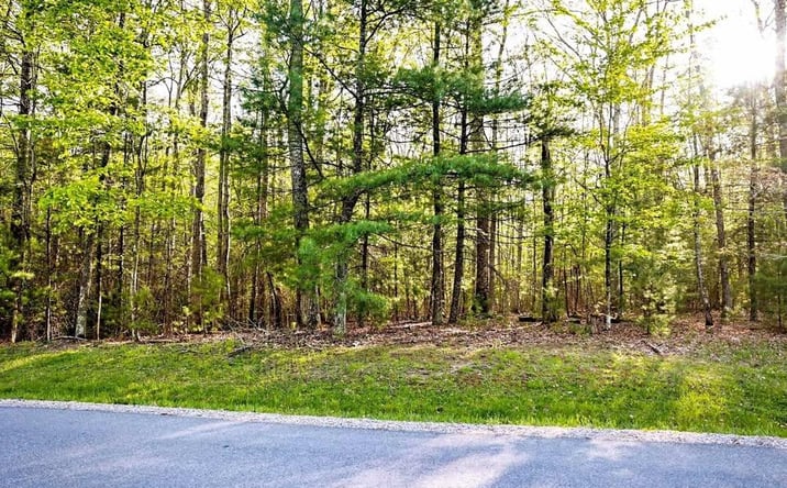 Pictures of Land, Multifamily property located at 301 Royal Oaks Dr # 1, Daniels, WV 25832 for sales - image #1