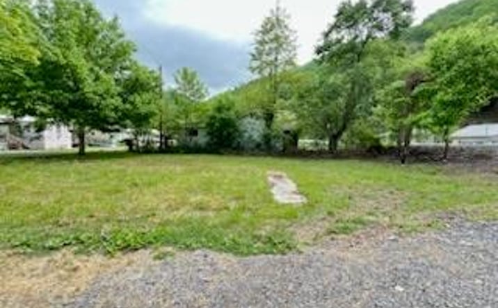 Pictures of Land, Multifamily property located at 717 Raysal, Raysal, WV 24879 for sales - image #1