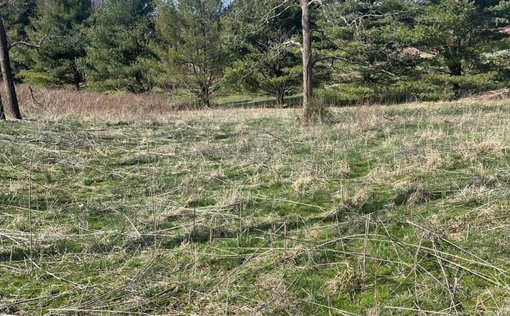 Pictures of Land property located at Lot41-42 Fountain Springs, Peterstown, WV 24963 for sales - image #1