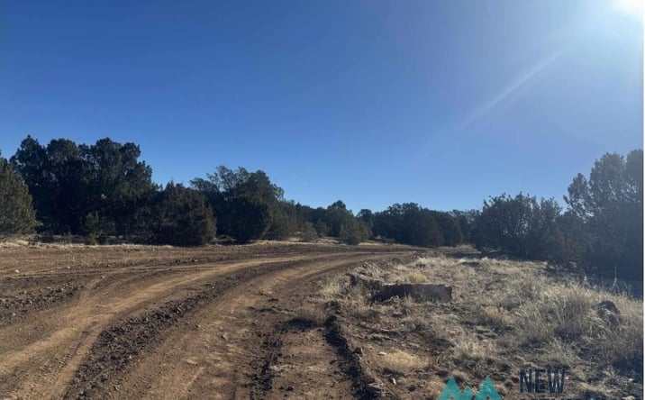 Pictures of Land property located at 320+/- acres Apache Mesa Avenue, Los Montoyas, NM 87701 for sales - image #1