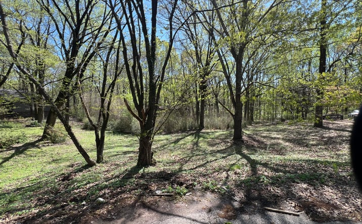 image of property at 40 APPLEWOOD COVE Jackson TN 38305