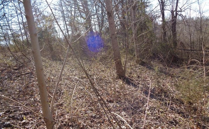 Pictures of Land property located at 0 Holston River Dr, Rutledge, TN 37861 for sales - image #1