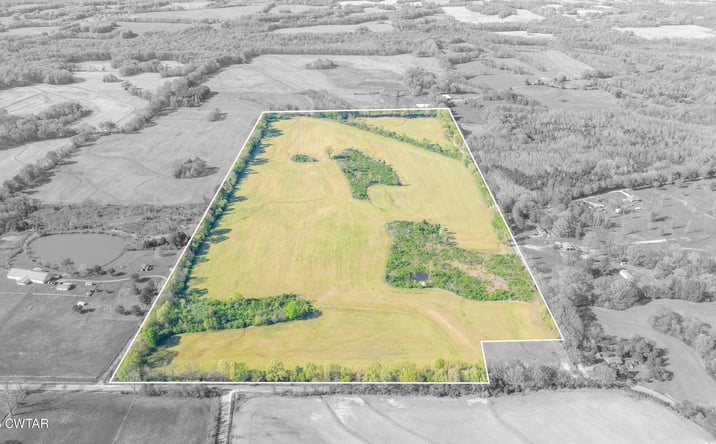 Pictures of Land property located at 0 THORPE Drive, Mason, TN 38049 for sales - image #1