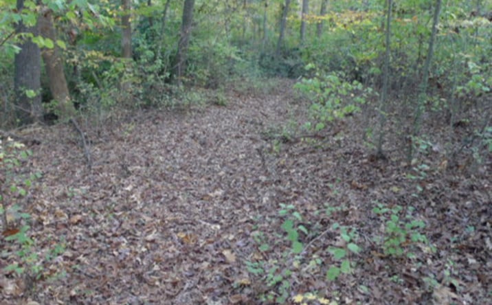 Pictures of Land property located at 187 Caravan Ln, Mocksville, NC 27028 for sales - image #1