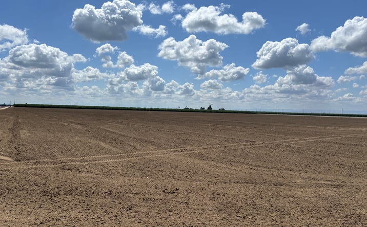 Pictures of Land property located at Highway 43, Wasco, CA 93280 for sales - image #1