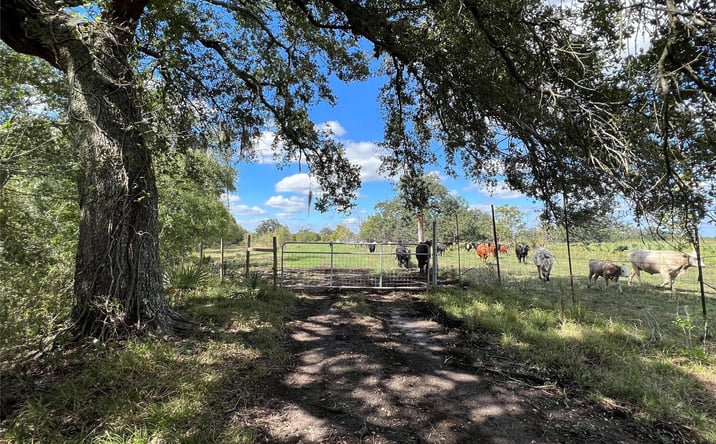 Pictures of Industrial, Land, Mixed Use property located at 26400 TX-35, Sweeny, TX 77480 for sales - image #1