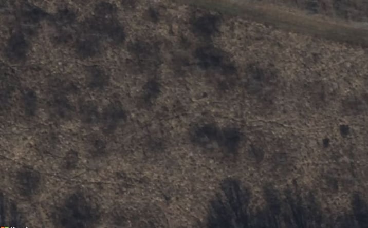 Pictures of Land property located at L-88 Overlook Drive, Paducah, KY 42003 for sales - image #1