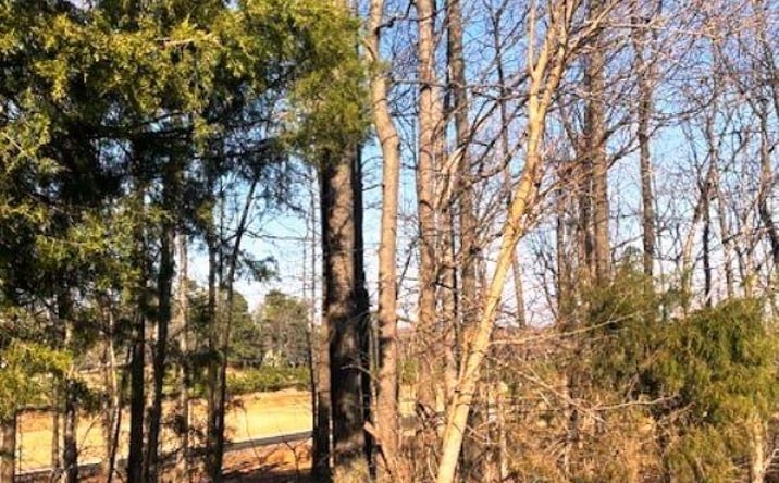 Pictures of Land property located at Lot 89 Forest Ridge Dr, Paducah, KY 42003 for sales - image #1