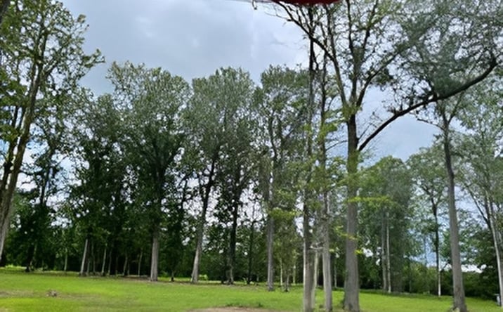 Pictures of Land property located at 2625 Neal Drive Lot 2, Block F, Paducah, KY 42003 for sales - image #1