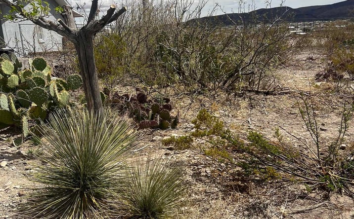 Pictures of Land property located at 907 Grape Street, Truth Or Consequences, NM 87901 for sales - image #1