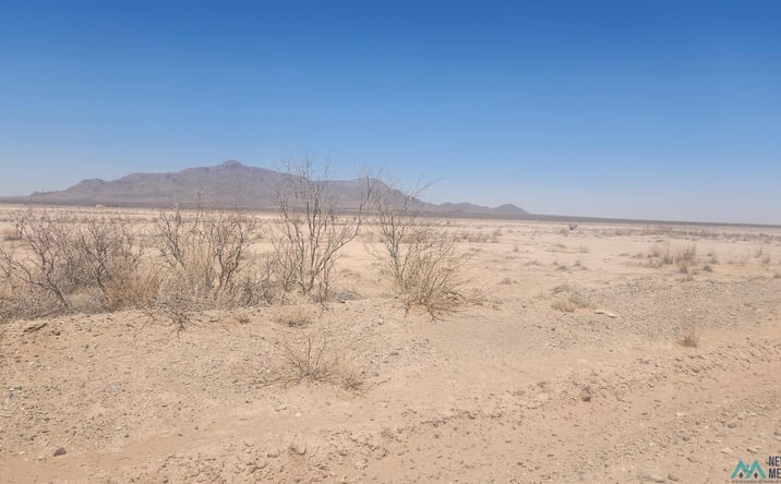 Pictures of Land property located at Columbus Hwy Highway, Deming, NM 88030 for sales - image #1