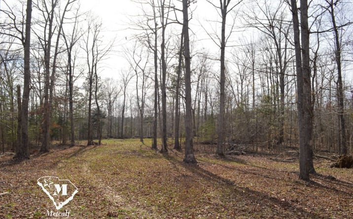 Pictures of Land property located at Cowpens Pacolet Rd, Spartanburg, SC 29307 for sales - image #1
