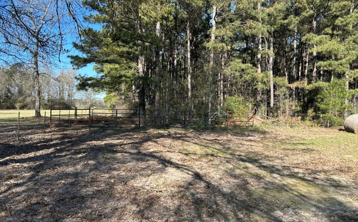 Pictures of Land property located at TBD Easement Rd., Linden, TX 75563 for sales - image #1