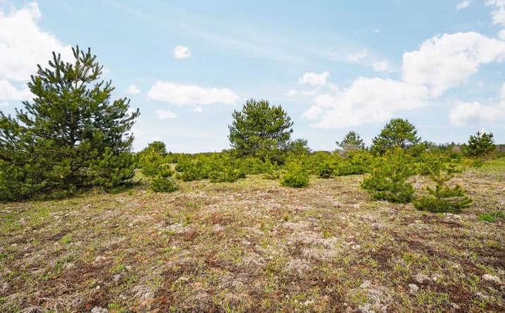 Pictures of Land property located at 48 acres Wetzel Lake Road, Mancelona, MI 49659 for sales - image #1