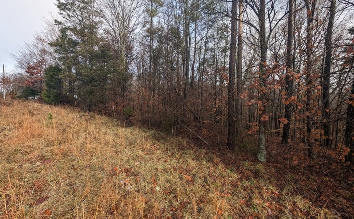 Pictures of Land property located at 255 Bowers Rd, Thomasville, NC 27360 for sales - image #1