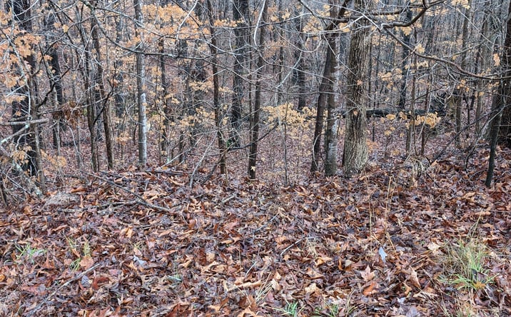 Pictures of Land property located at 501 Factory St, Ronda, NC 28670 for sales - image #1