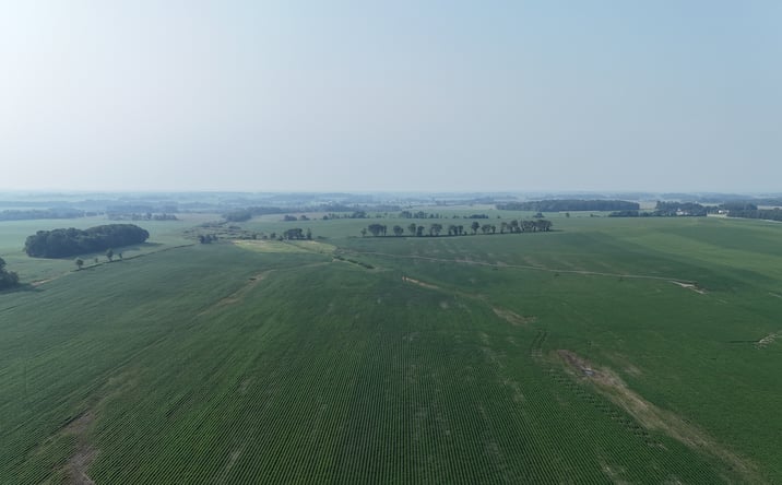 Pictures of Land property located at 0000 Co Rd 61, Browerville, MN 56438 for sales - image #1