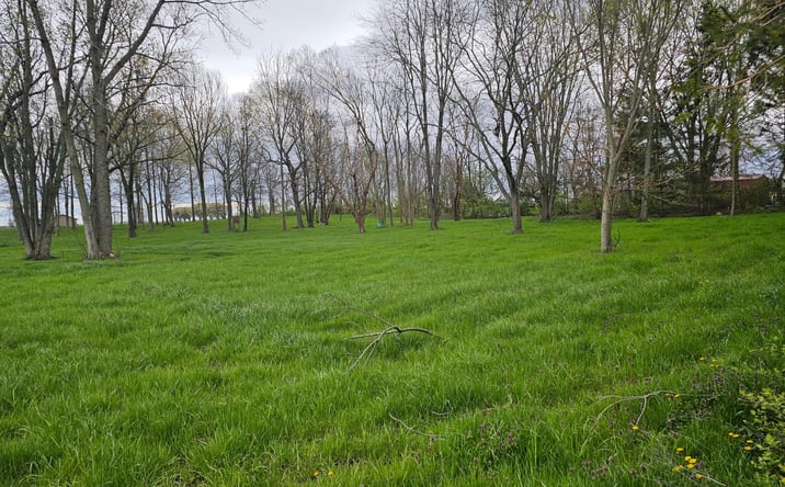 Pictures of Land property located at 632 Thorpe Road, Sabina, OH 45169 for sales - image #1