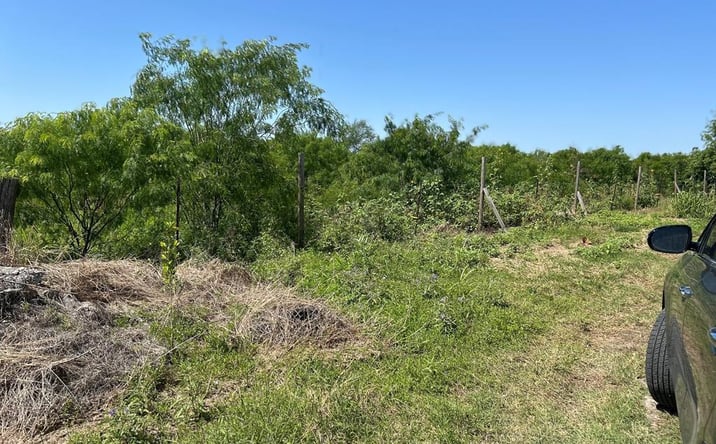Pictures of Land, Multifamily property located at 15732 Primera Rd., Harlingen, TX 78552 for sales - image #1