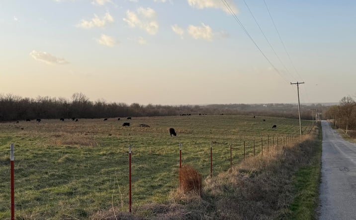 Pictures of Land property located at Tract 3 Dade 142, Lockwood, MO 65752 for sales - image #1