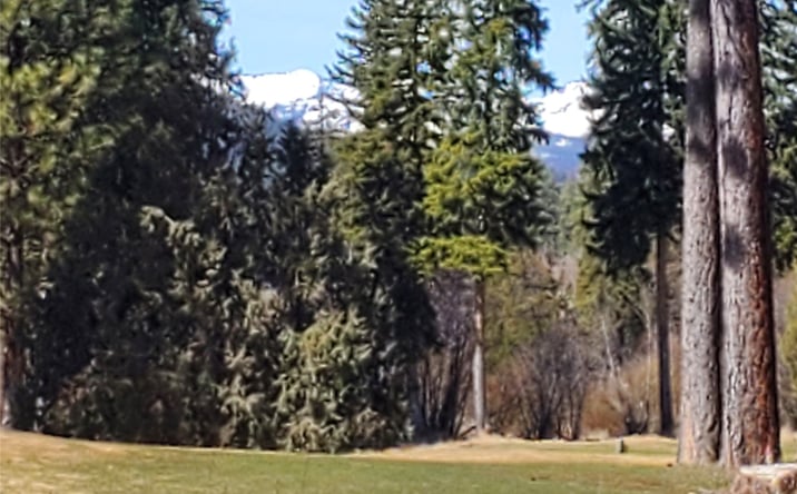 Pictures of Land property located at 12 Golf View Drive, Seeley Lake, MT 59868 for sales - image #1