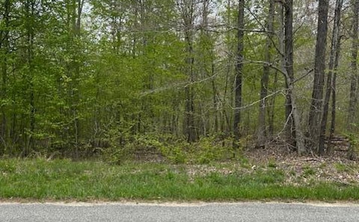 Pictures of Land property located at 0 Kelly Road, Holladay, TN 38317 for sales - image #1
