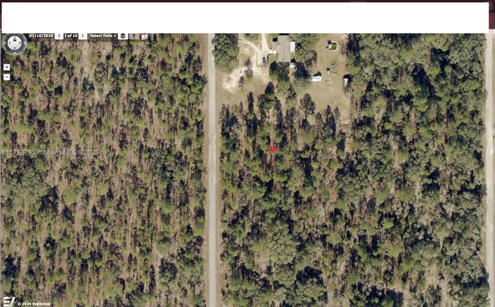 Pictures of Land property located at SW Viola Ct, Other City - In The State Of Florida, FL 34431 for sales - image #1