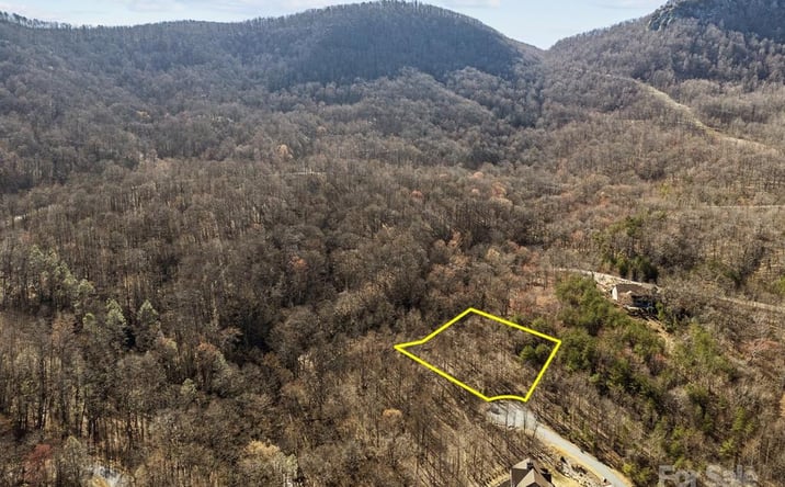 Pictures of Land property located at 000 Stafford Ln S, Mill Spring, NC 28756 for sales - image #1