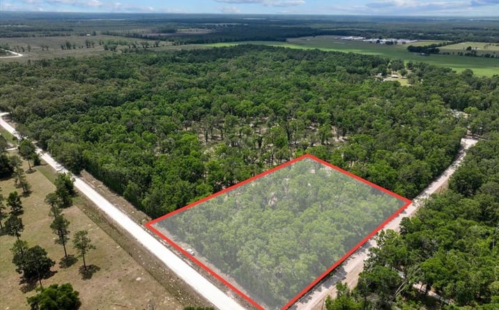 Pictures of Land property located at 89th Rd, McAlpin, FL 32062 for sales - image #1