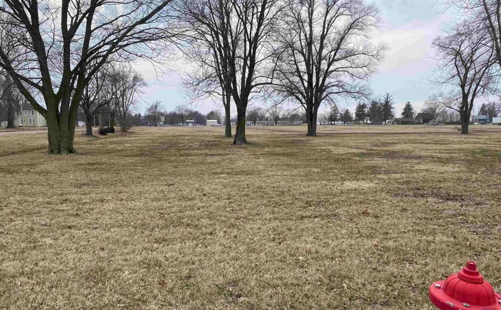 Pictures of Land, Special Purpose property located at 210 LOUISIANA Street, Middletown, IA 52601 for sales - image #1