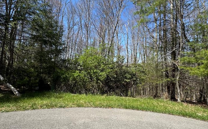 Pictures of Land property located at 250 Glen Planters Lane, Daniels, WV 25832 for sales - image #1