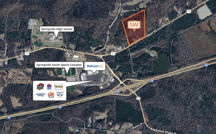 Pictures of Land property located at Highway 11, Springville, AL 35146 for sales - image #1