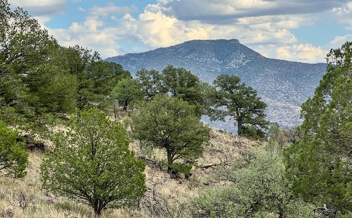 Pictures of Land property located at 336 High Lonesome, Fort Davis, TX 79734 for sales - image #1
