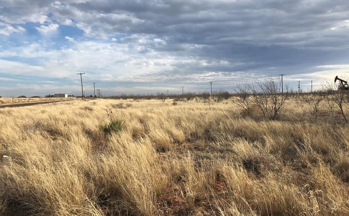 Pictures of Land property located at TBA SE 1000, Andrews, TX 79714 for sales - image #1