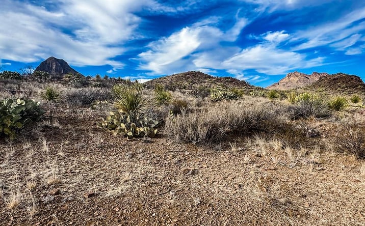 Pictures of Land property located at TR 890C Lake Ament Rd., Terlingua, TX 79852 for sales - image #1